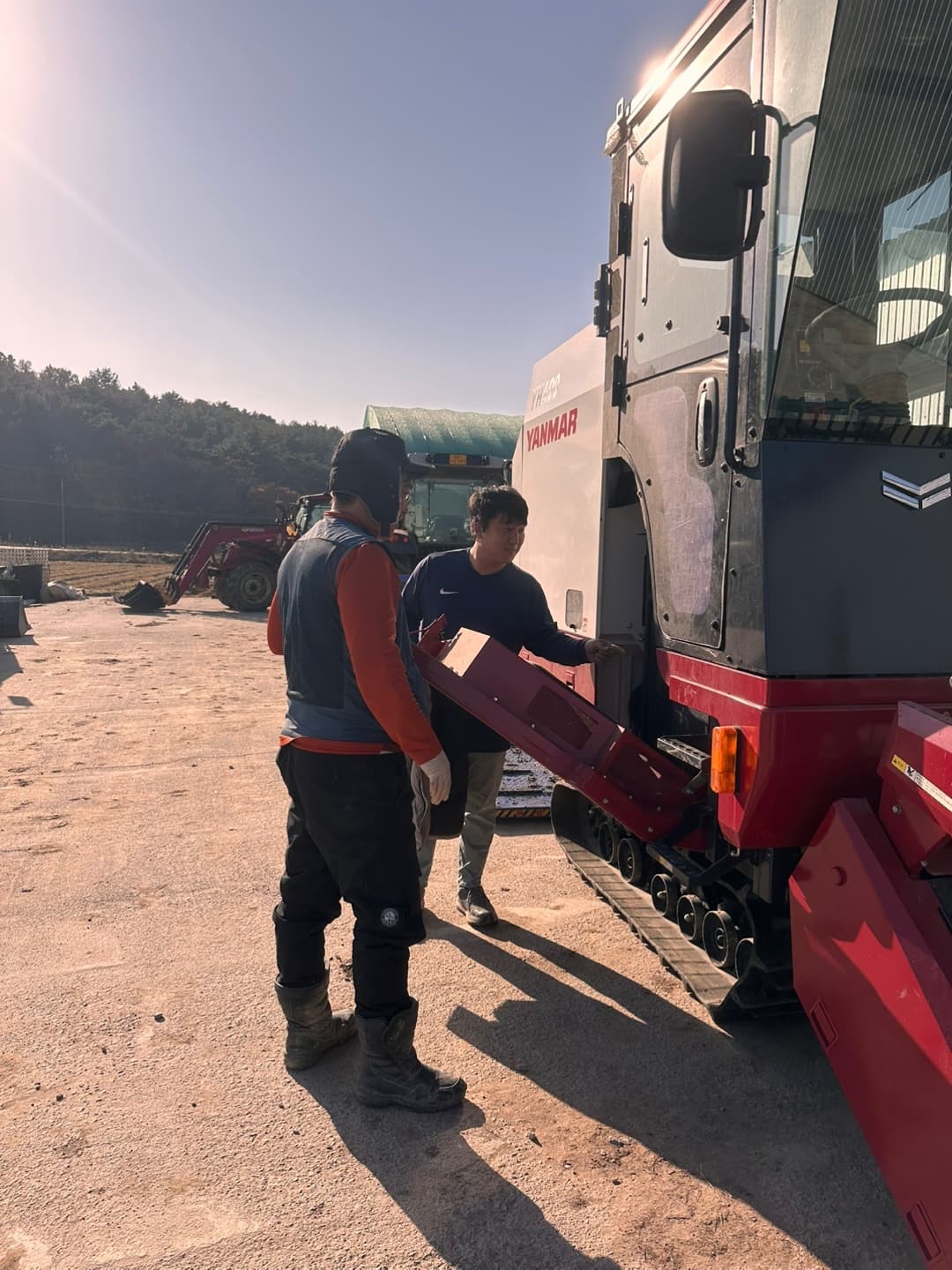 농부의 서리태 재배 과정