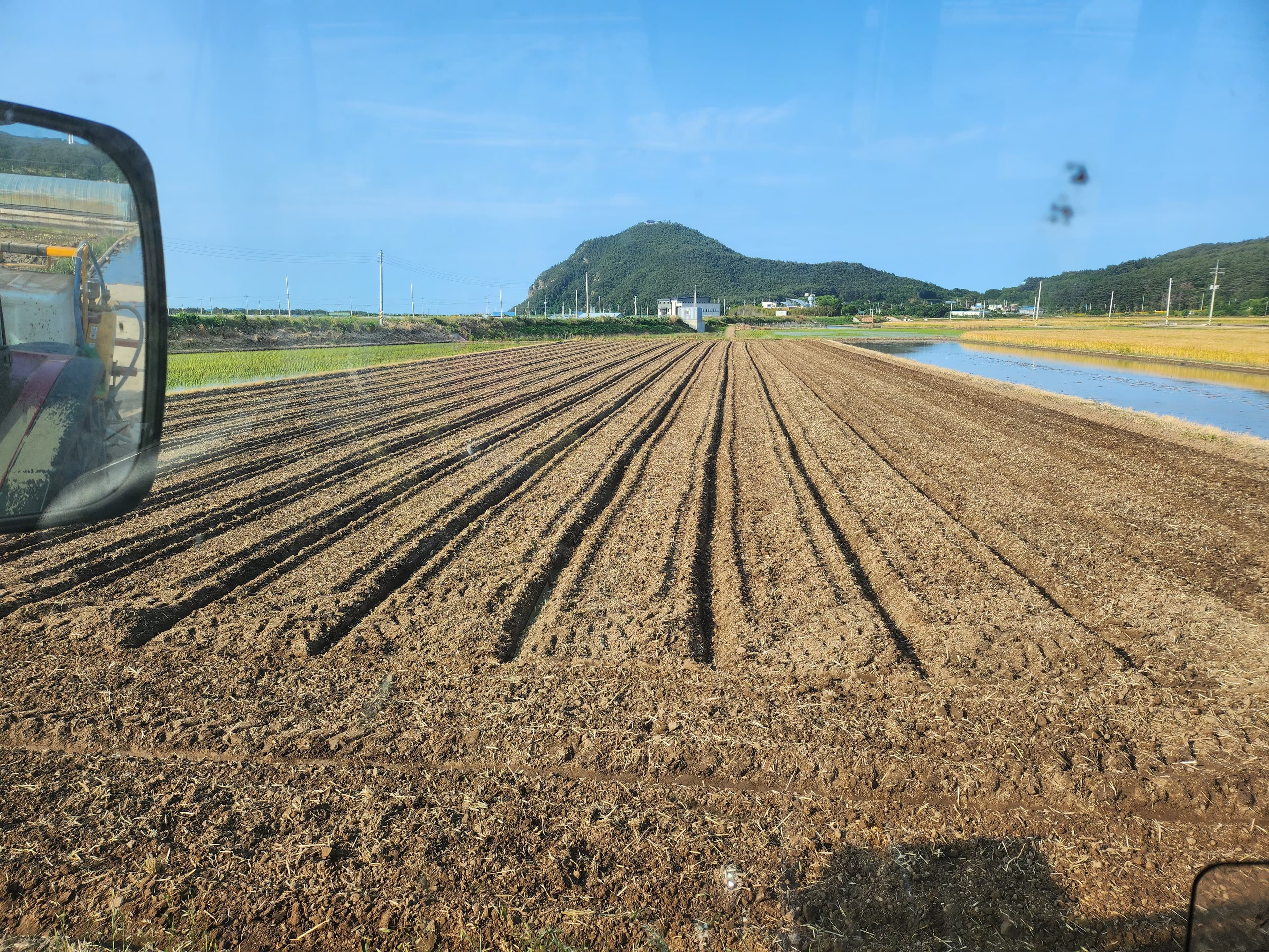 농부의 서리태 재배 과정
